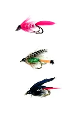 Darts Flugkast Våtfluga Dubbelkrok #1