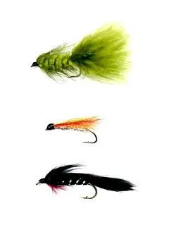 Darts Flugkast Streamer #2