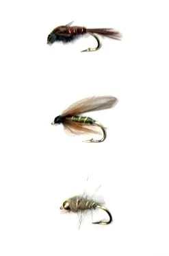 Darts Flugkast Dagslända Våt