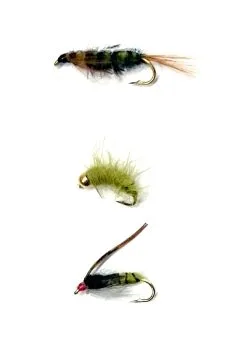 Darts Flugkast Nattslända Våt