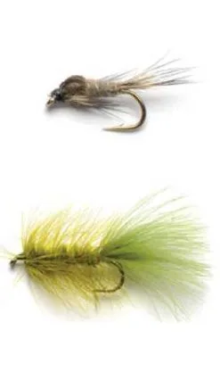 Darts Flugkast Bomba #1