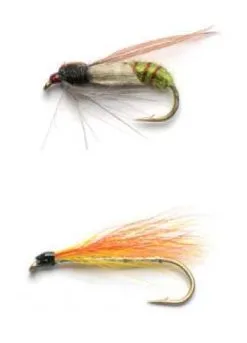 Darts Flugkast Bomba #2