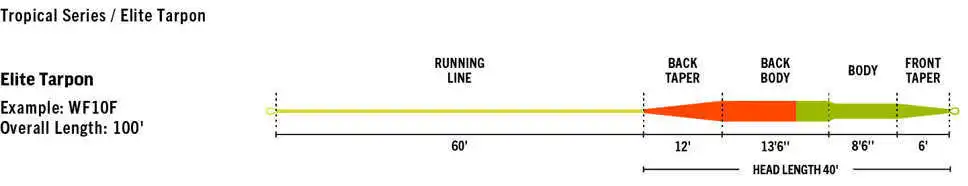 RIO Elite Tarpon Float WF9 3 RIO Elite Tarpon Float WF9 - Bild 3