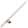 Berkley Cherrywood Combo 9ft 15-40g