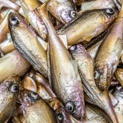 Angry Lures Ruffe Natural 10cm -Billig Fiskespön Butik 0147424 angry lures ruffe natural 10cm