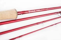 Taylor Fly Fishing Taylor Phenom MII 9ft #10 7 Taylor Fly Fishing Taylor Phenom MII 9ft #10 -Billig Fiskespön Butik 0148372 taylor phenom mii 9ft 10