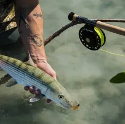 Sage Salt R8 9ft #6 15 Sage Salt R8 9ft #6 -Billig Fiskespön Butik 0150978 sage salt r8 9ft 6