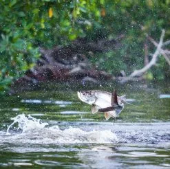 Sage Salt R8 9ft #9 -Billig Fiskespön Butik 0150982 sage salt r8 9ft 9