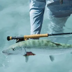 Sage Salt R8 9ft #9 -Billig Fiskespön Butik 0150983 sage salt r8 9ft 9