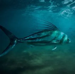 Sage Salt R8 9ft #10 -Billig Fiskespön Butik 0150985 sage salt r8 9ft 10