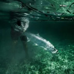 Sage Salt R8 9ft #11 -Billig Fiskespön Butik 0150987 sage salt r8 9ft 11