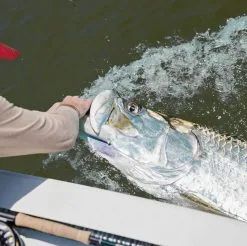 Sage Salt R8 9ft #12 -Billig Fiskespön Butik 0150988 sage salt r8 9ft 12