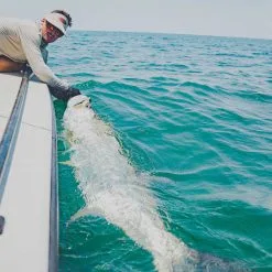 Sage Salt R8 9ft #12 -Billig Fiskespön Butik 0150989 sage salt r8 9ft 12